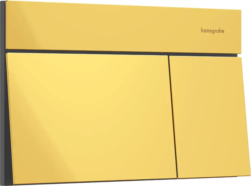 Панель змиву унітазу iFrame Element E